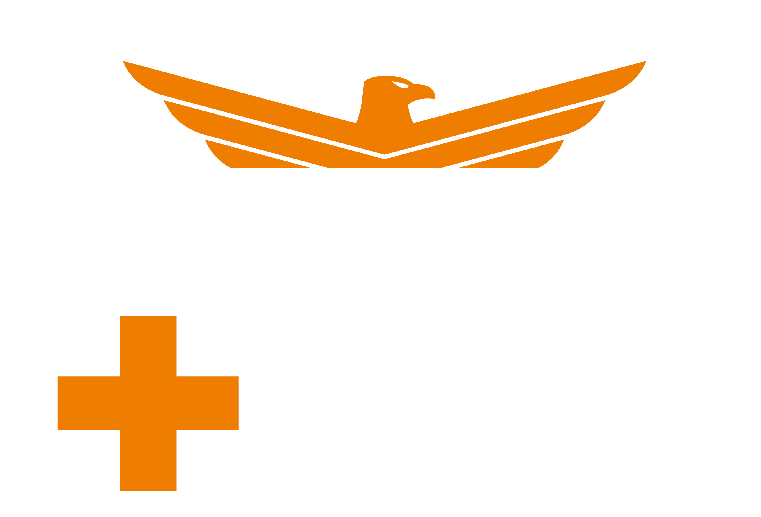 Logo Servis